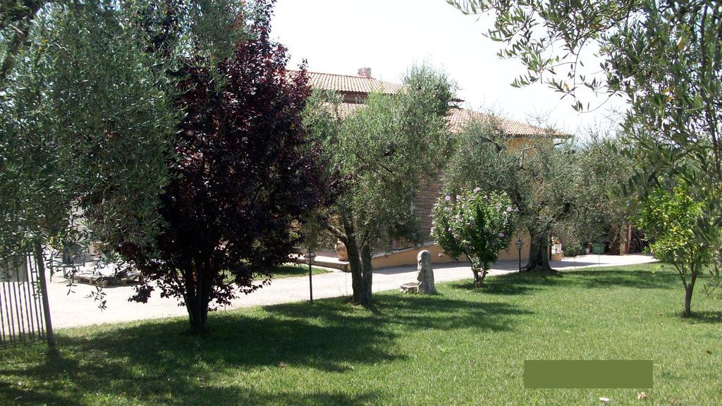 Il Giardino Degli Ulivi Bed & Breakfast Canneto  Luaran gambar