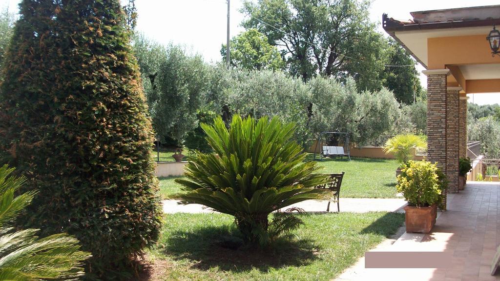Il Giardino Degli Ulivi Bed & Breakfast Canneto  Luaran gambar